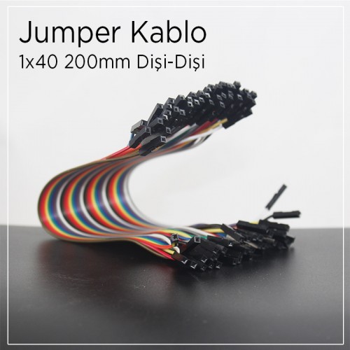 40 Pin Dişi-Dişi Jumper Kablo