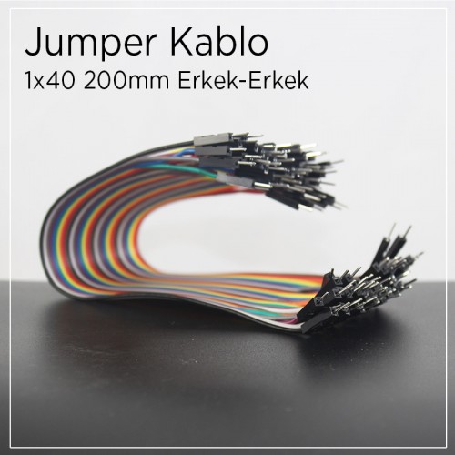 40 Pin Erkek-Erkek Jumper Kablo