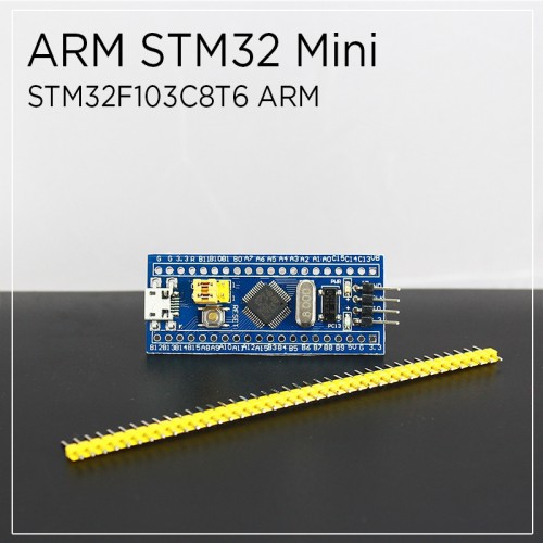 STM32 SWD Geliştirme Kartı
