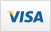 Visa ile güvenli ödeme